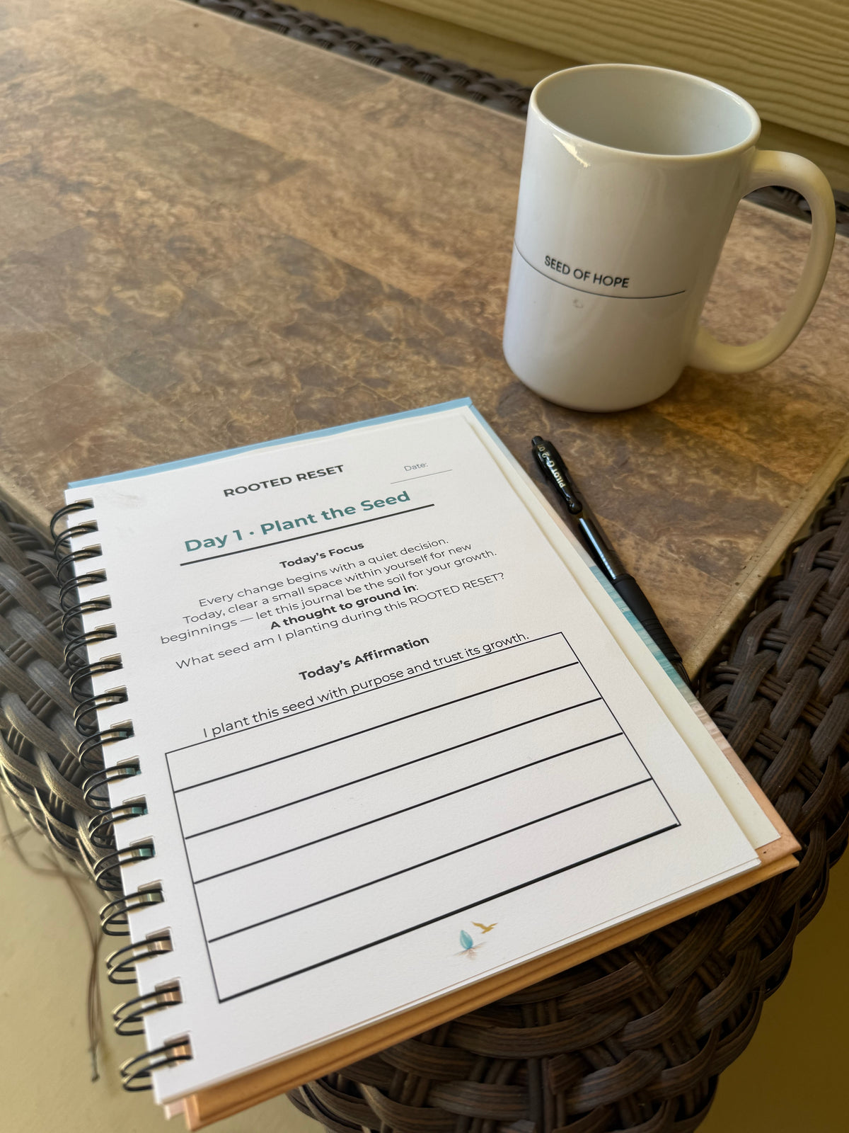 The 28-Day Reset Journey – Complete Practice Collection
